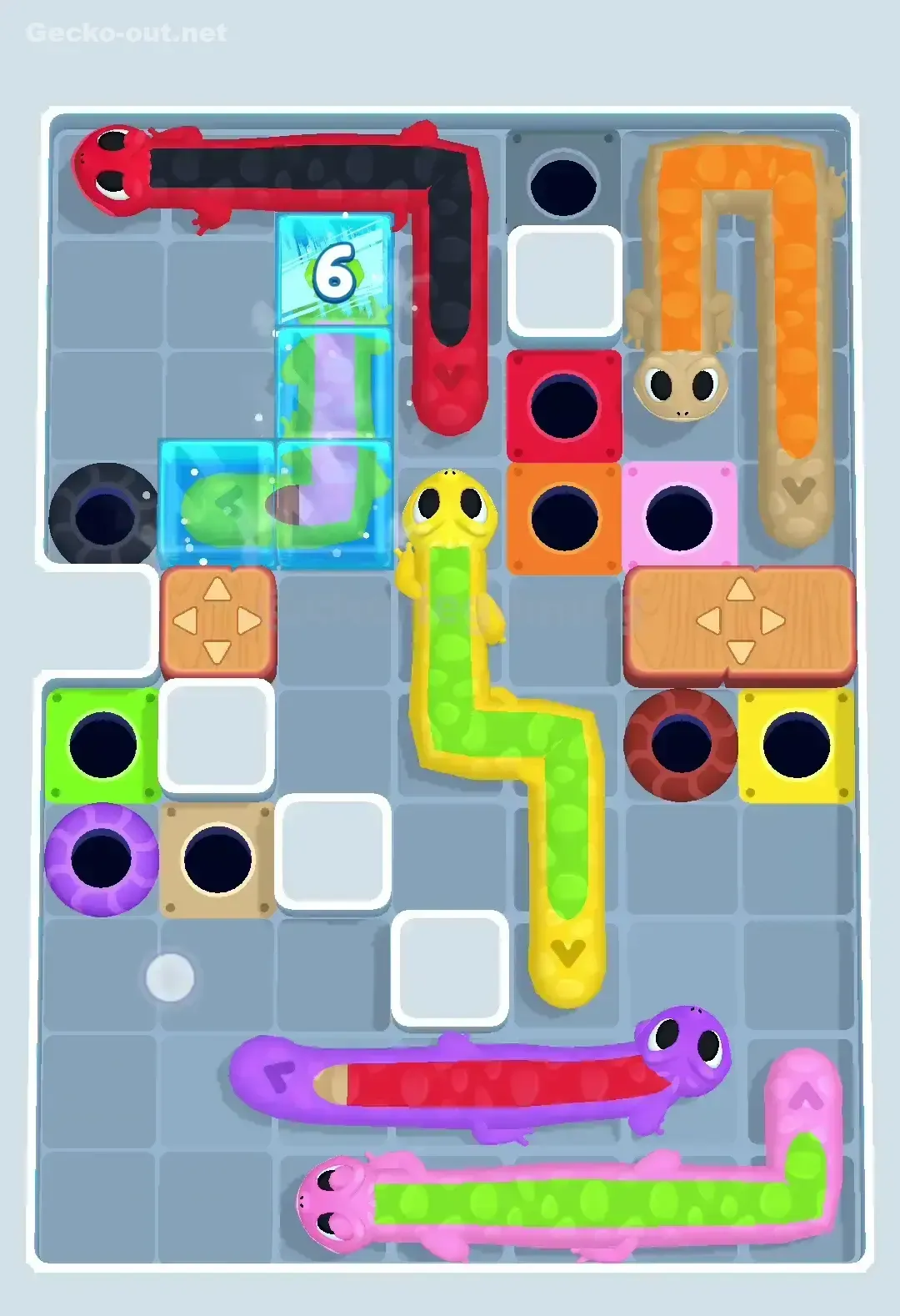 Gecko Out Level 443 Solution 2