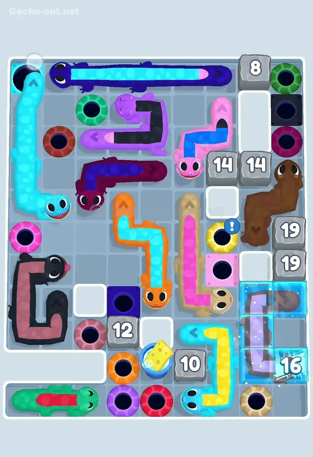 Gecko Out Level 430 Solution 2