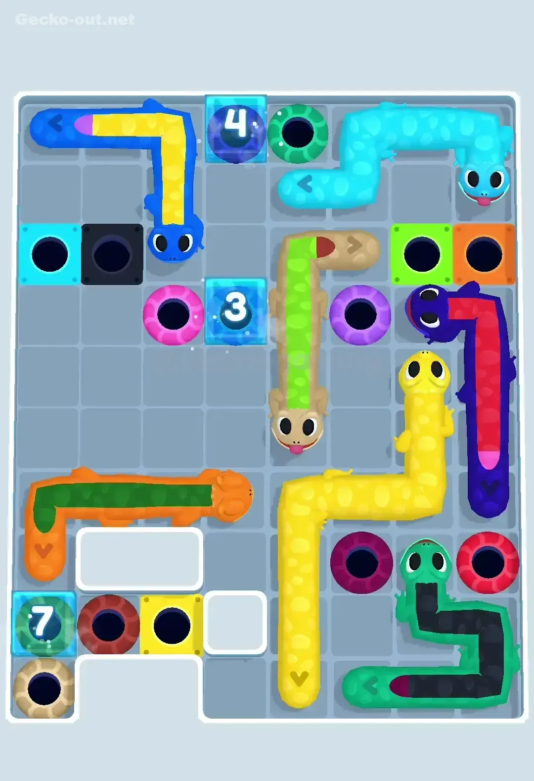 Gecko Out Level 427 Solution 3