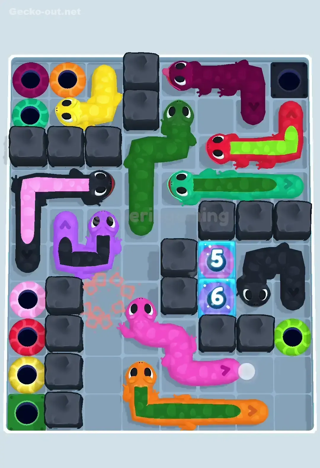 Gecko Out Level 404 Solution 1