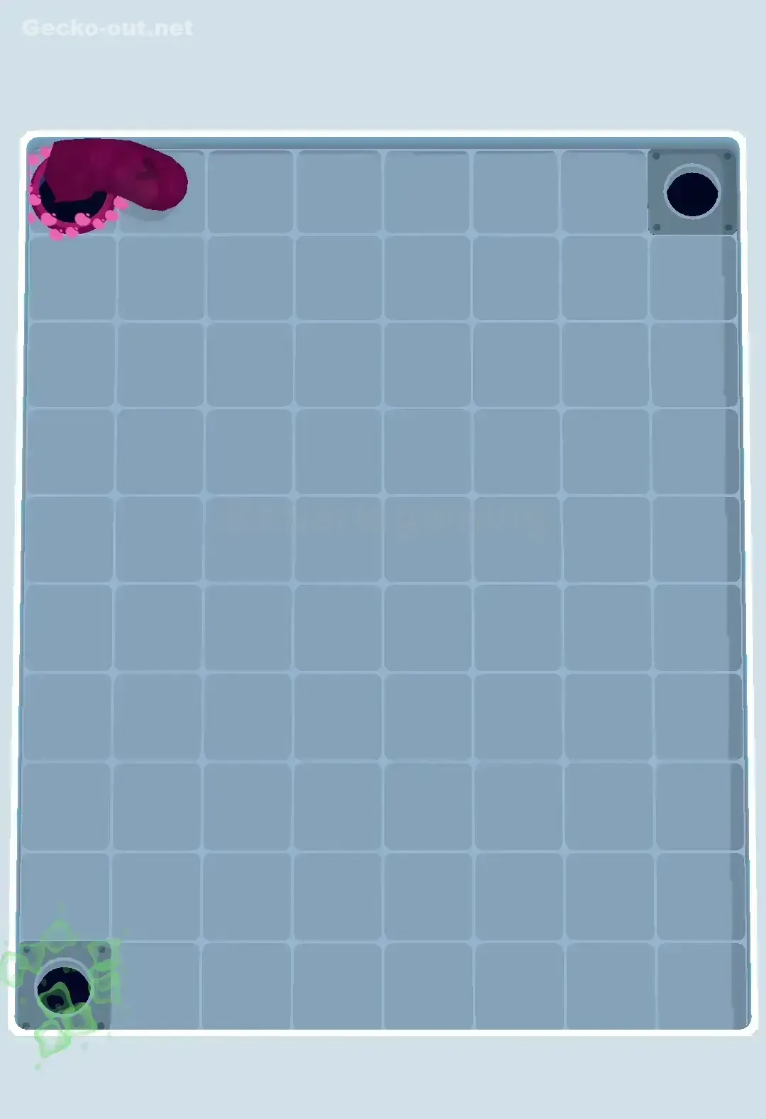 Gecko Out Level 404 Solution 3