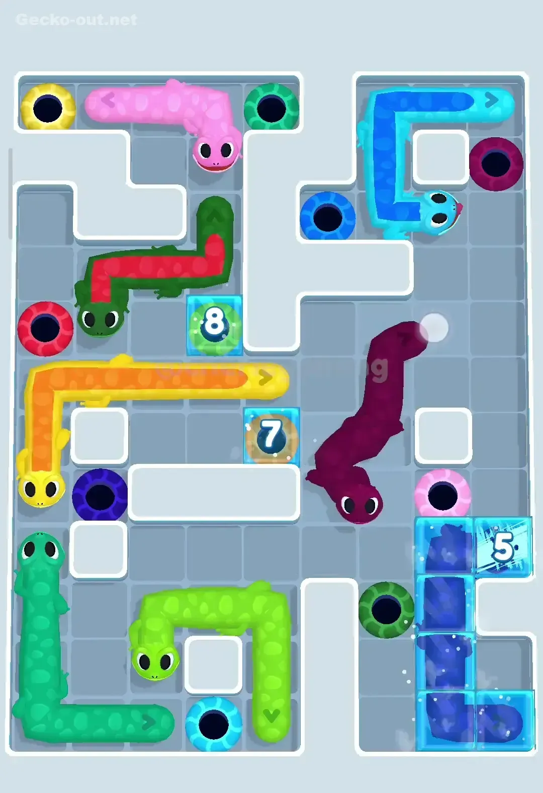 Gecko Out Level 368 Solution 3