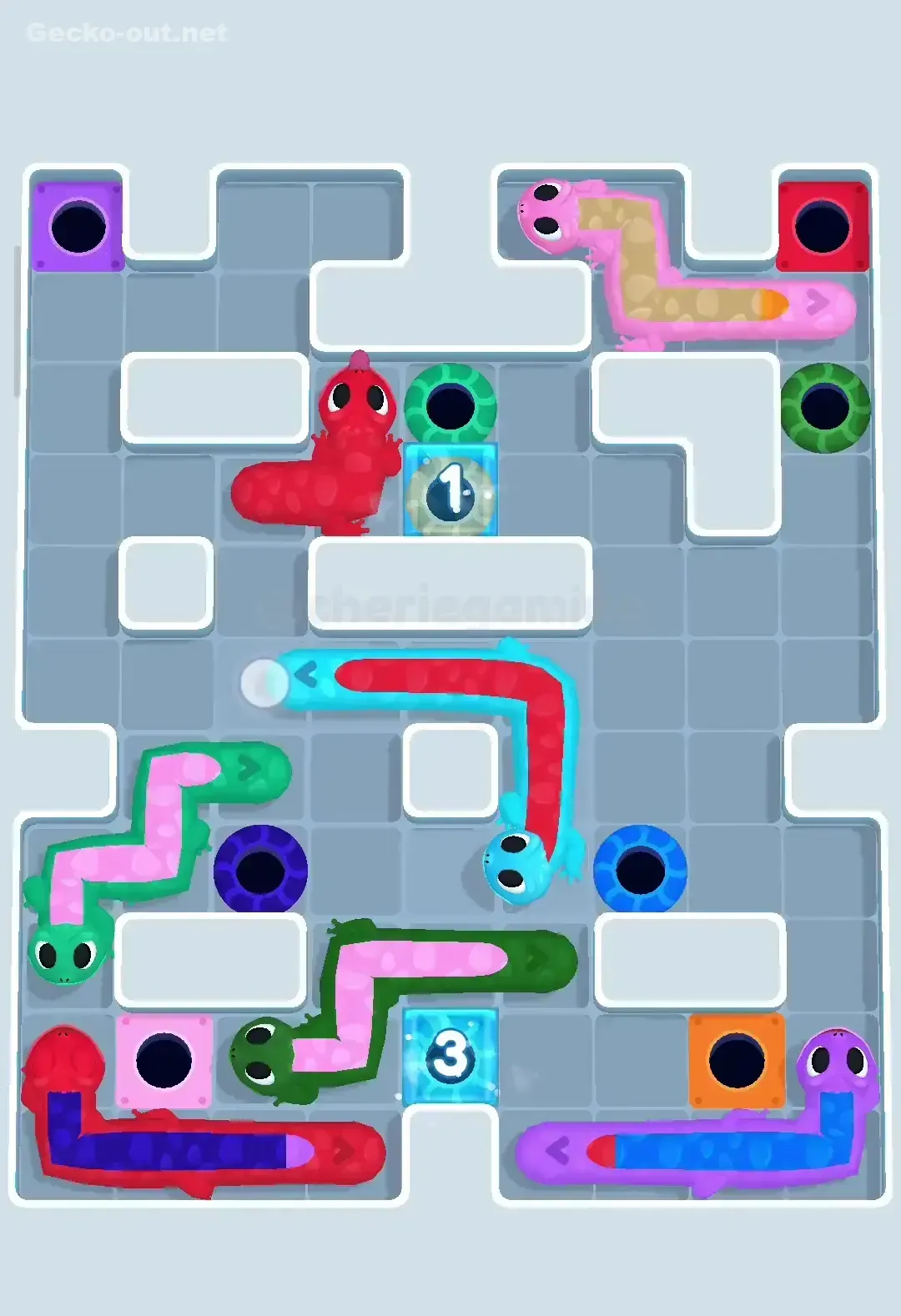 Gecko Out Level 365 Solution 3