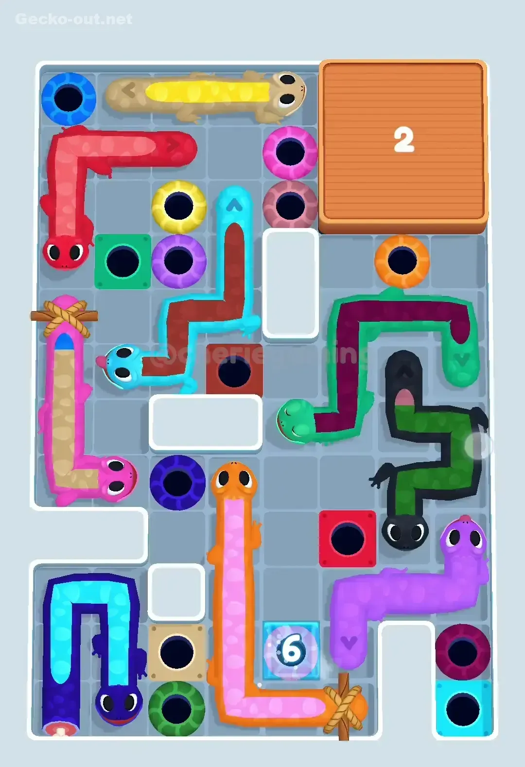Gecko Out Level 482 Solution 1