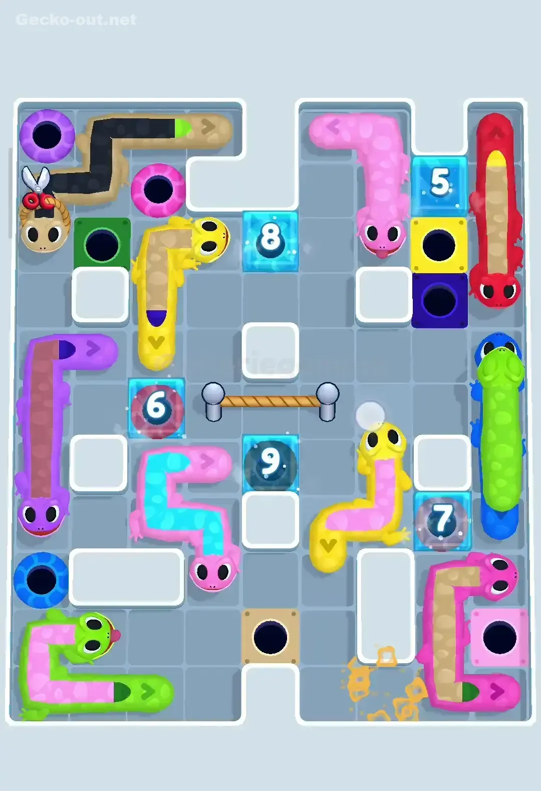 Gecko Out Level 360 Solution 2
