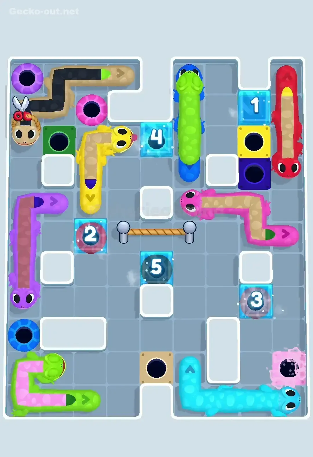 Gecko Out Level 360 Solution 3