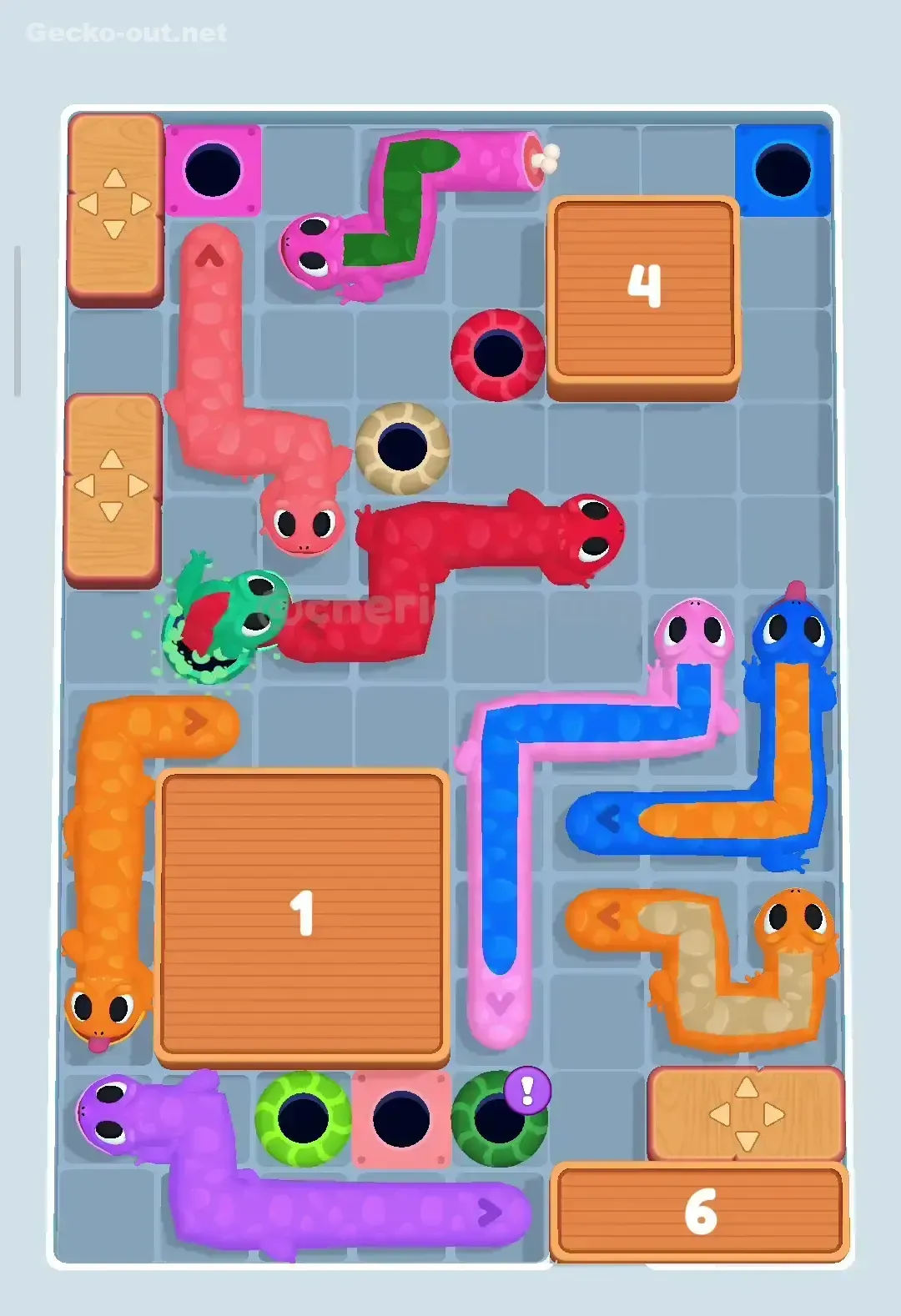 Gecko Out Level 356 Solution 3