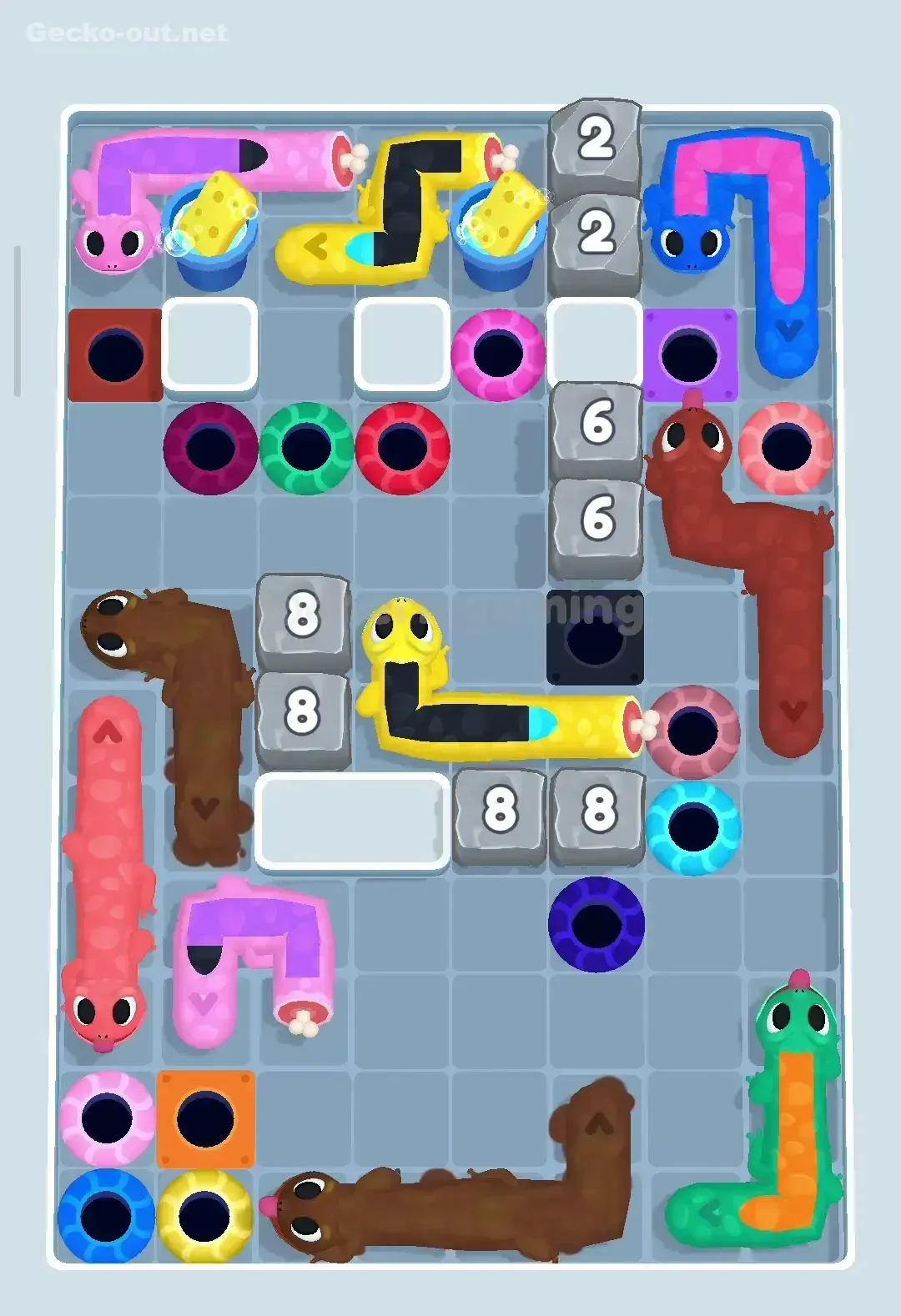 Gecko Out Level 343 Solution 2