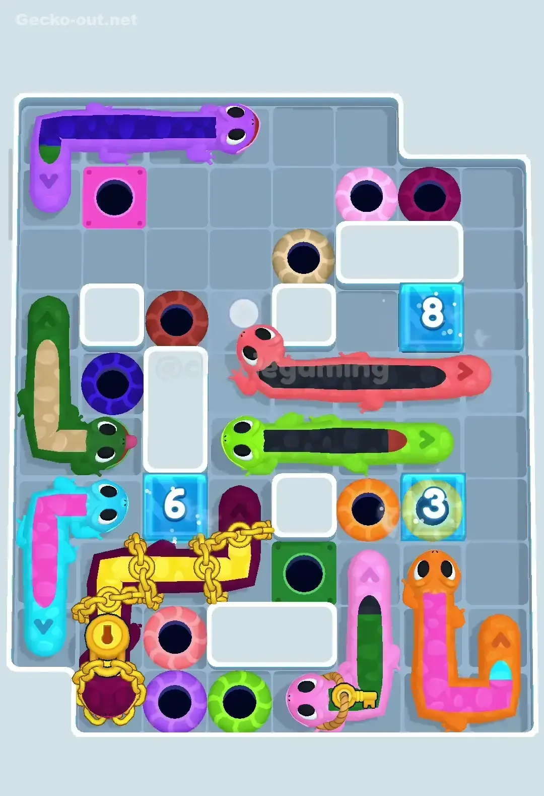 Gecko Out Level 342 Solution 2