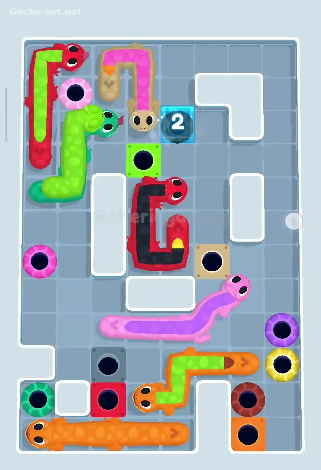 Gecko Out Level 337 Solution 3