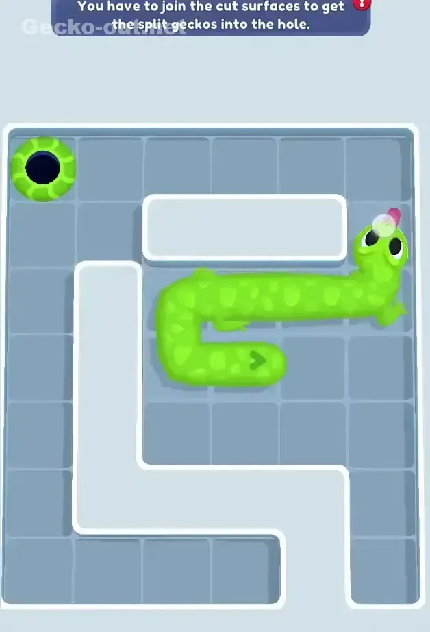 Gecko Out Level 332 Solution 3