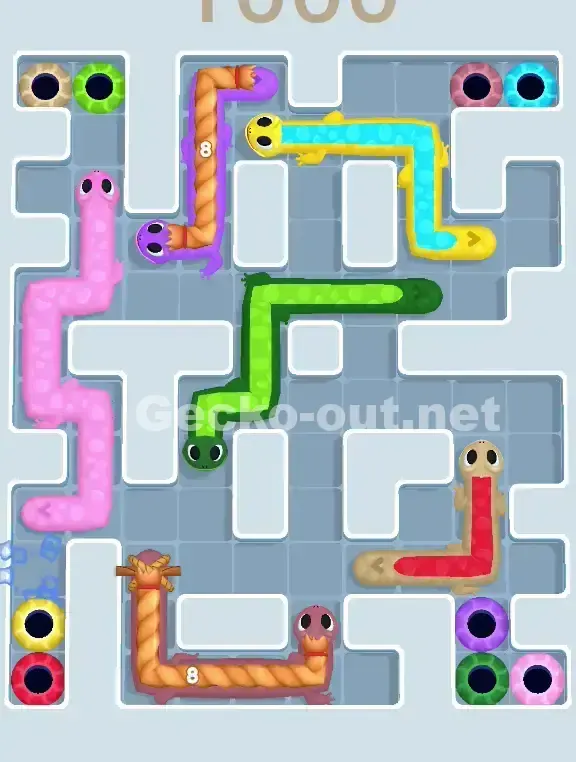 Gecko Out Level 1000 Solution 1