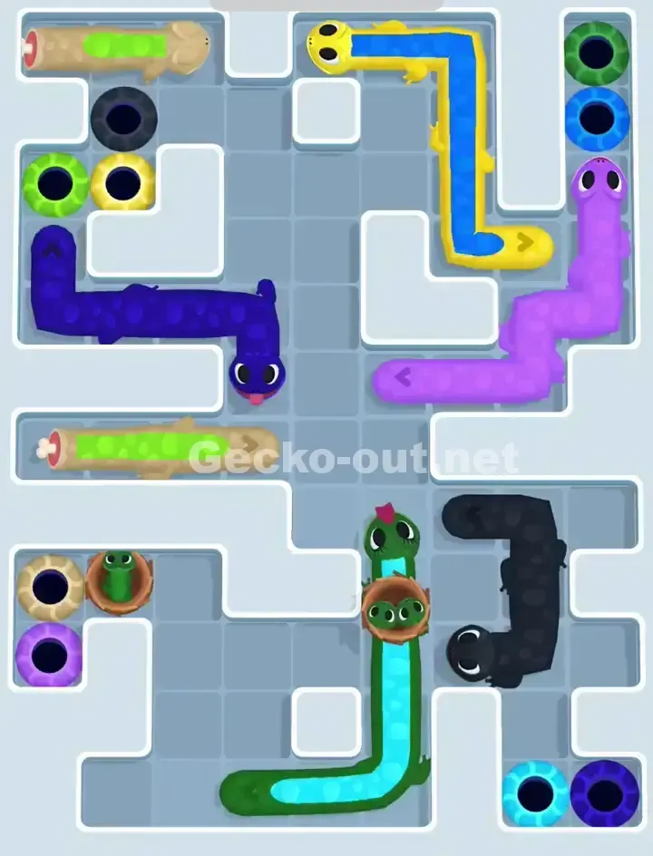 Gecko Out Level 1119 Solution 2