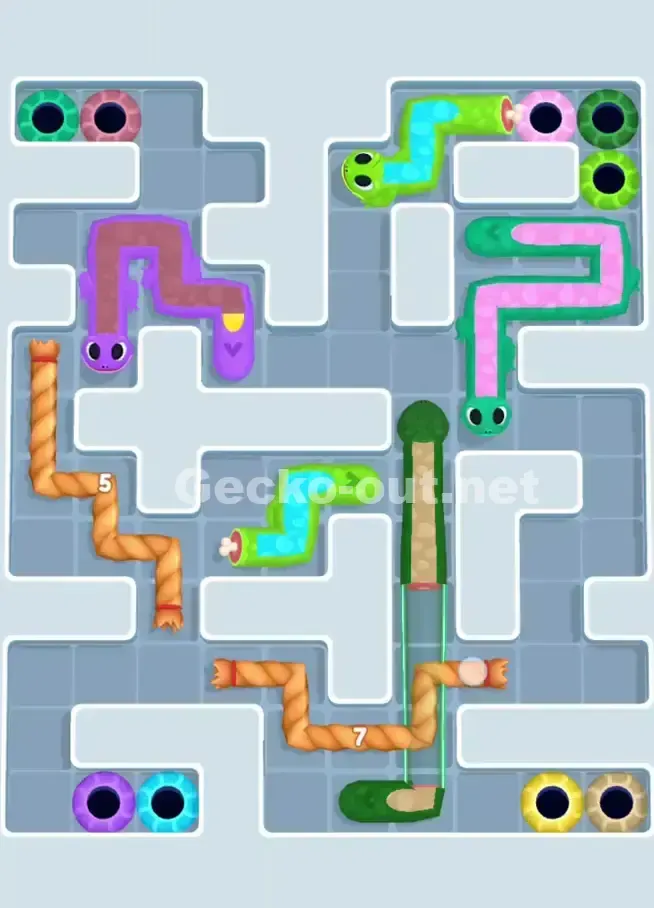 Gecko Out Level 1020 Solution 2