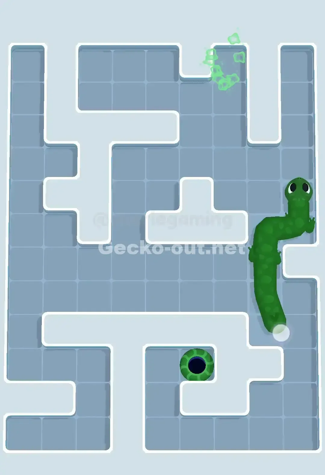 Gecko Out Level 670 Solution 3