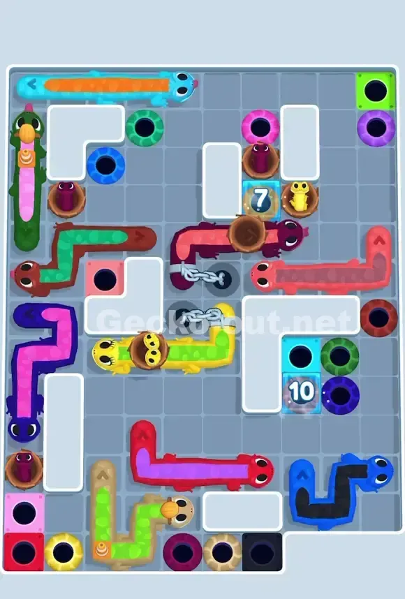 Gecko Out Level 697 Solution 1