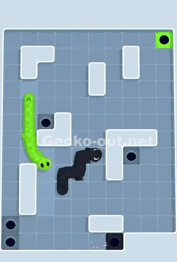 Gecko Out Level 697 Solution 3