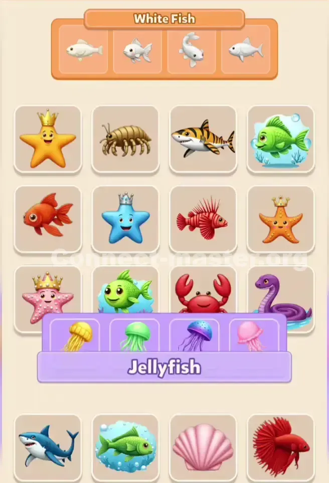 Connect Master Level 359 Solution 2