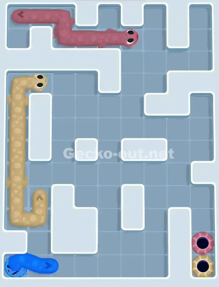 Gecko Out Level 1117 Solution 3