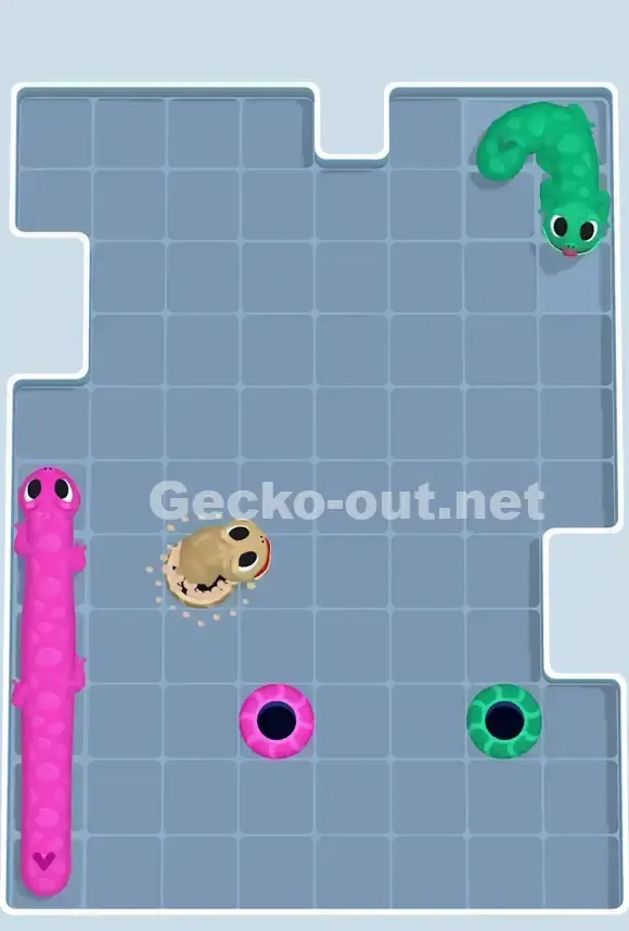 Gecko Out Level 823 Solution 3