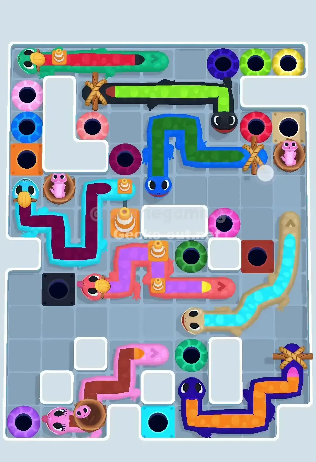 Gecko Out Level 678 Solution 1