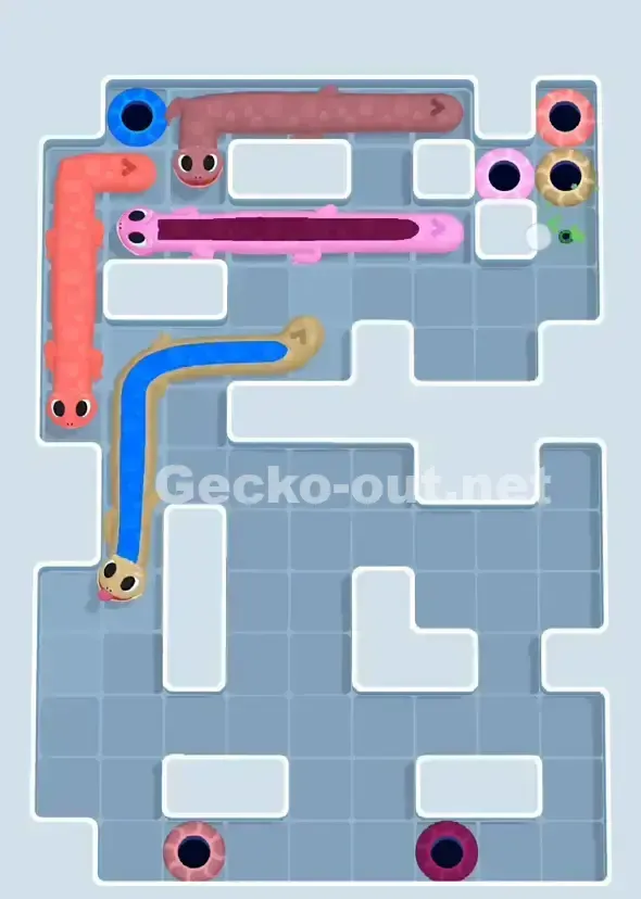 Gecko Out Level 905 Solution 3