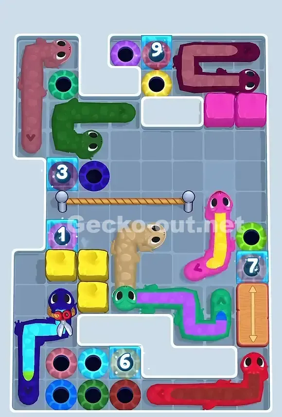 Gecko Out Level 812 Solution 1