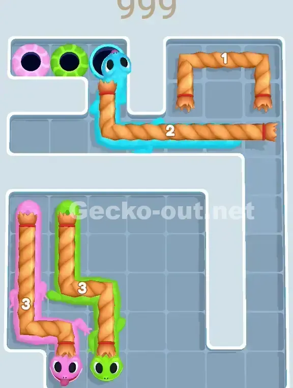 Gecko Out Level 999 Solution 2