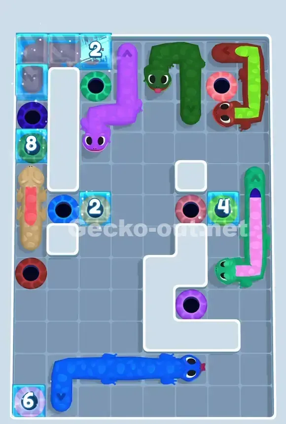 Gecko Out Level 816 Solution 2