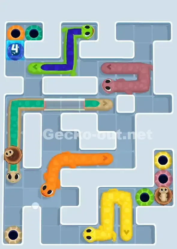 Gecko Out Level 888 Solution 2