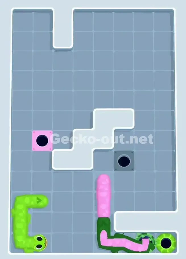 Gecko Out Level 1080 Solution 3