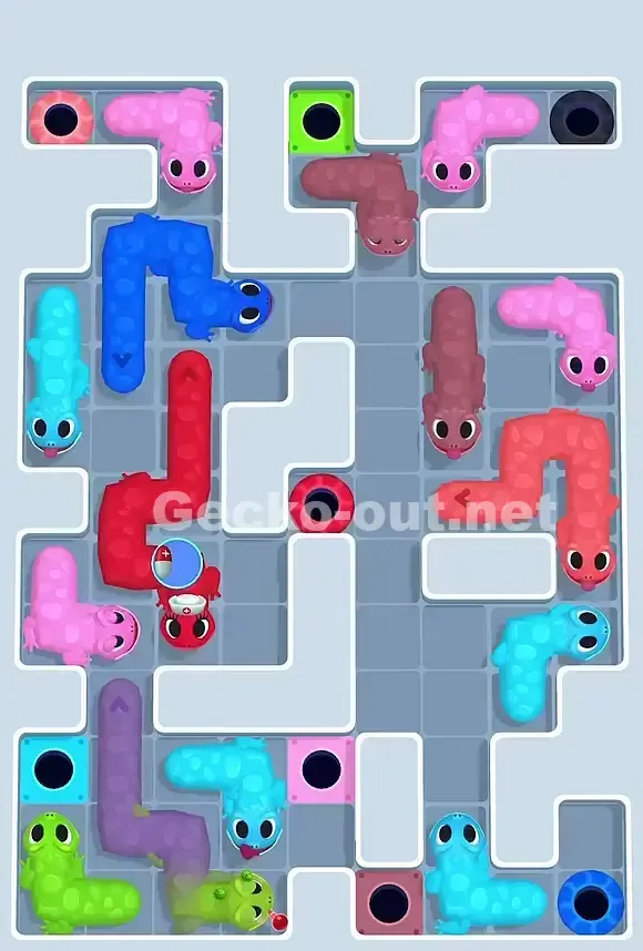 Gecko Out Level 798 Solution 2