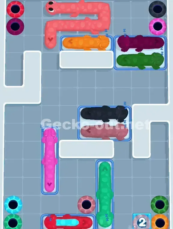 Gecko Out Level 996 Solution 2