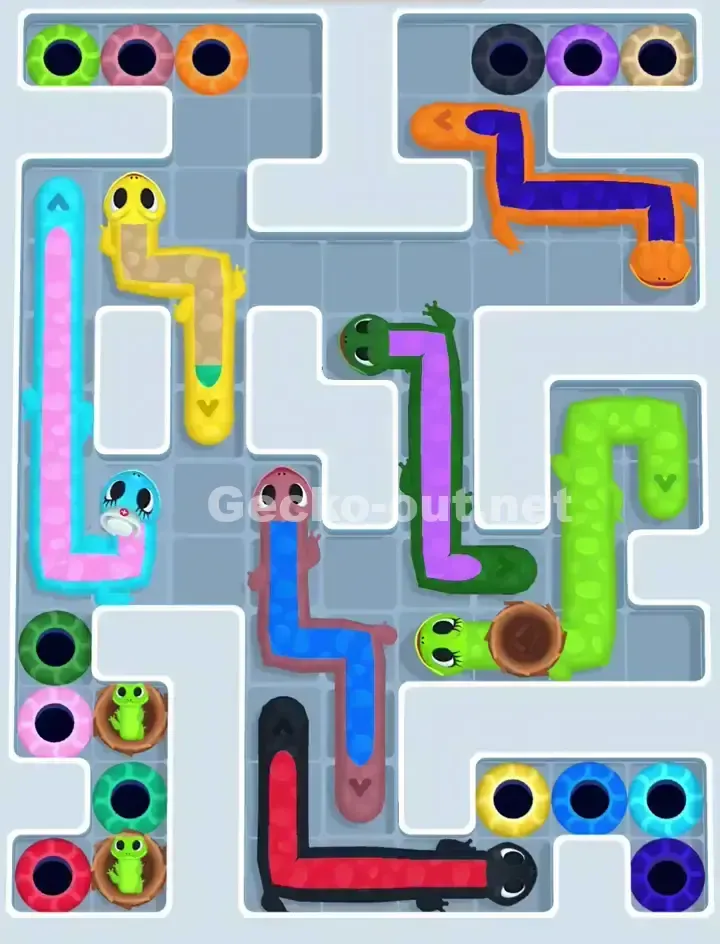 Gecko Out Level 1113 Solution 1