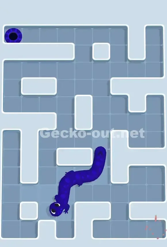 Gecko Out Level 778 Solution 3