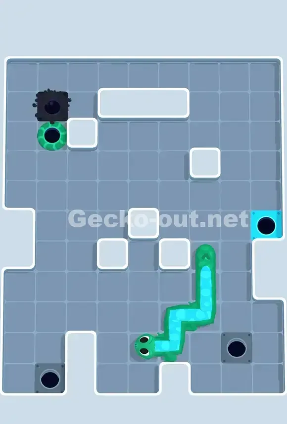 Gecko Out Level 703 Solution 3