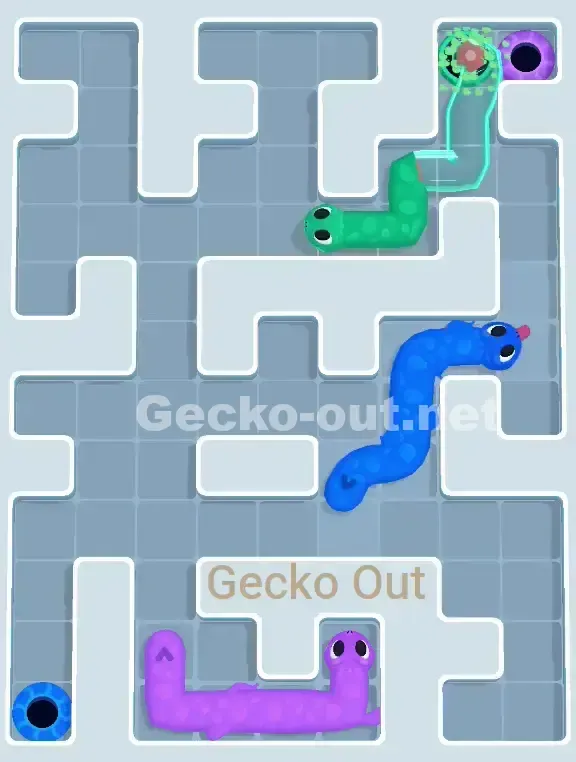 Gecko Out Level 971 Solution 3