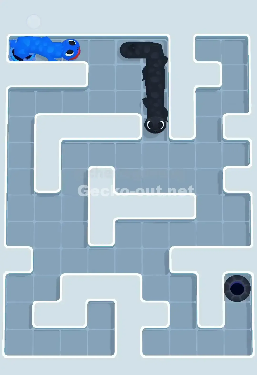 Gecko Out Level 667 Solution 3