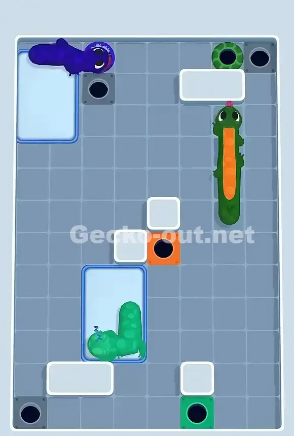 Gecko Out Level 848 Solution 3