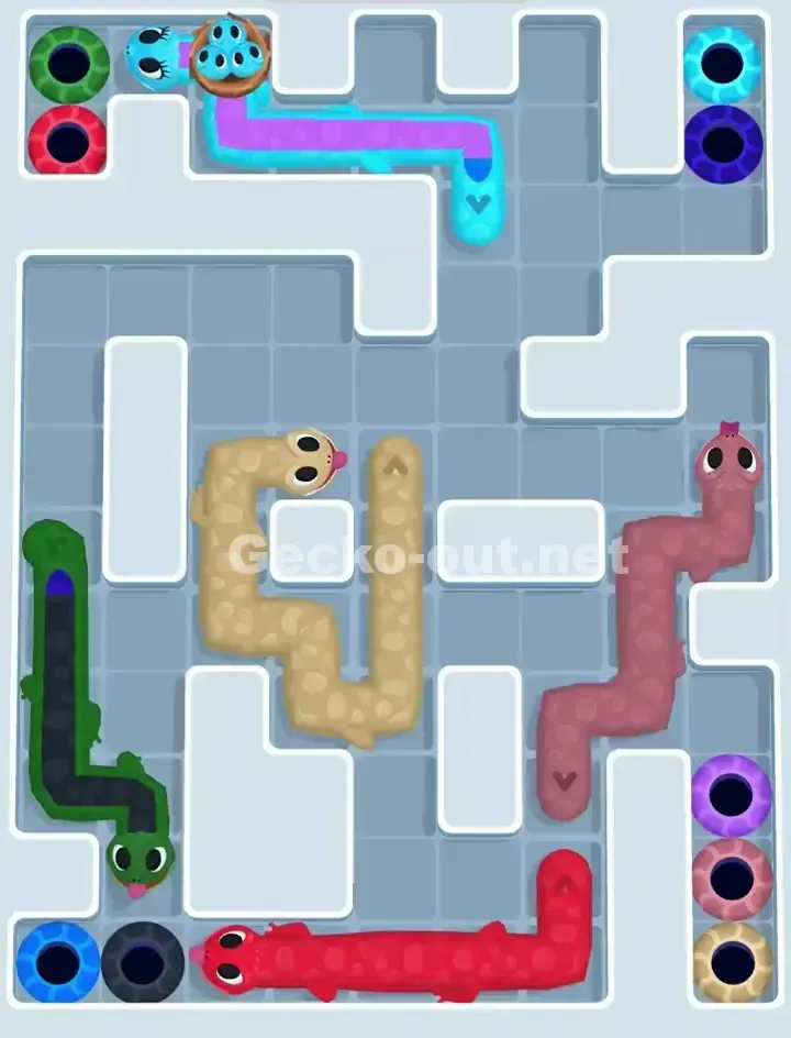 Gecko Out Level 1117 Solution 2