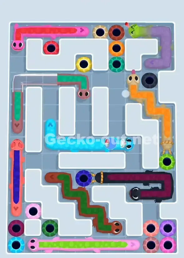 Gecko Out Level 906 Solution 1