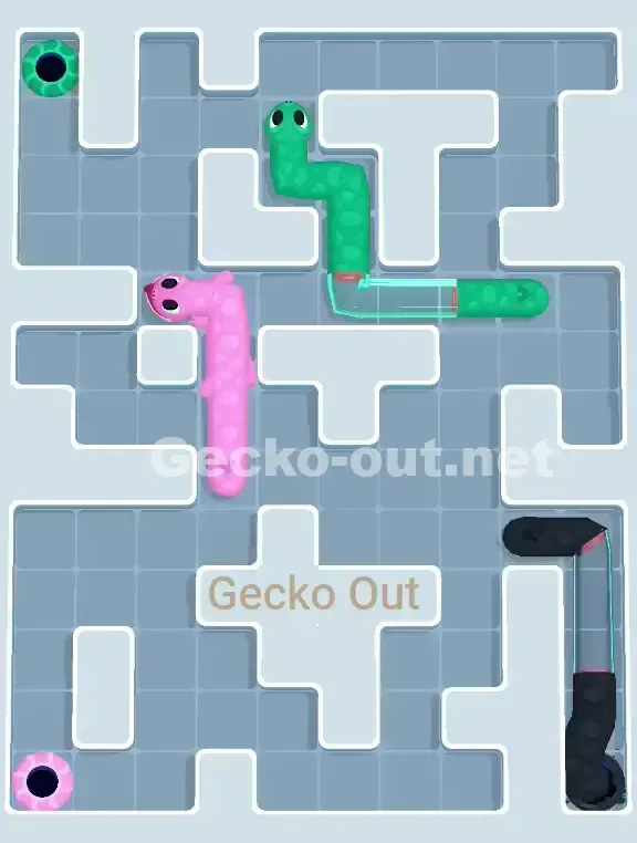 Gecko Out Level 969 Solution 3