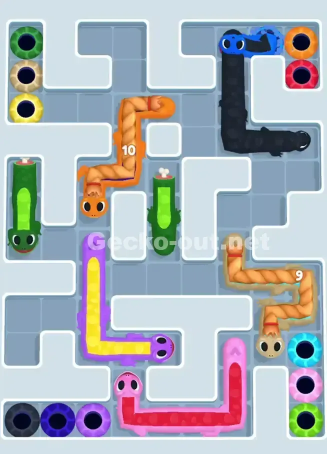 Gecko Out Level 1018 Solution 2
