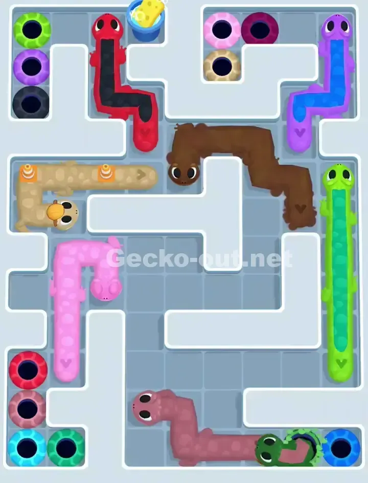 Gecko Out Level 1081 Solution 1