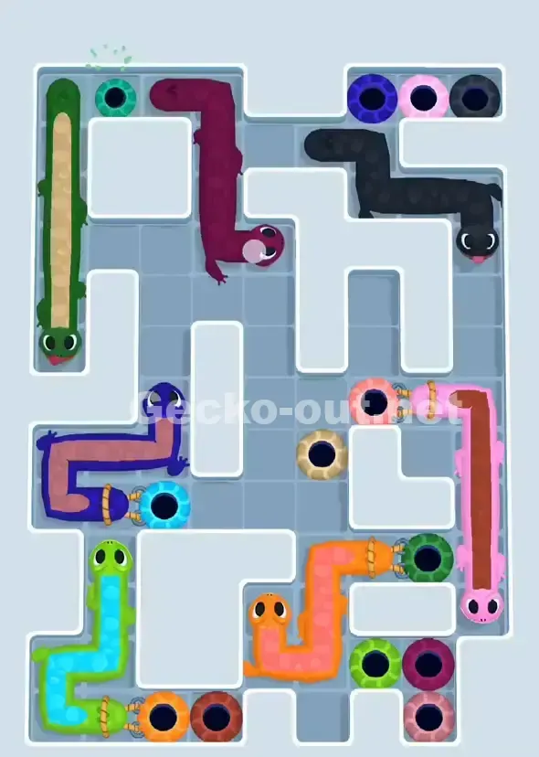 Gecko Out Level 914 Solution 1