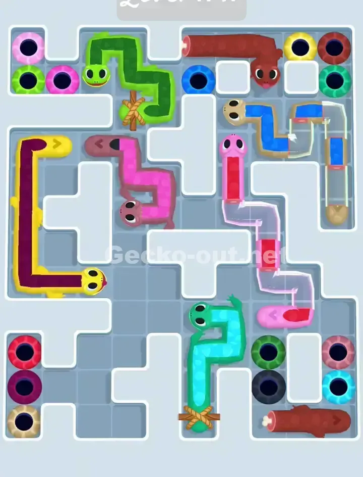 Gecko Out Level 1141 Solution 1