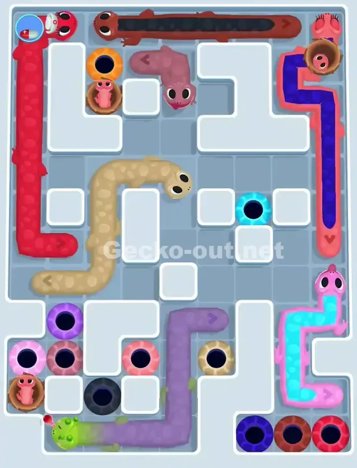 Gecko Out Level 1132 Solution 1