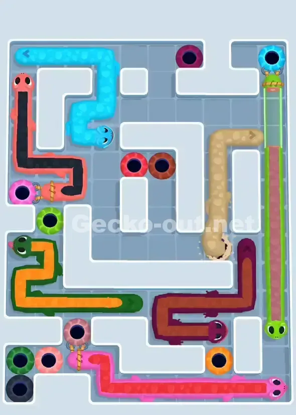 Gecko Out Level 916 Solution 2