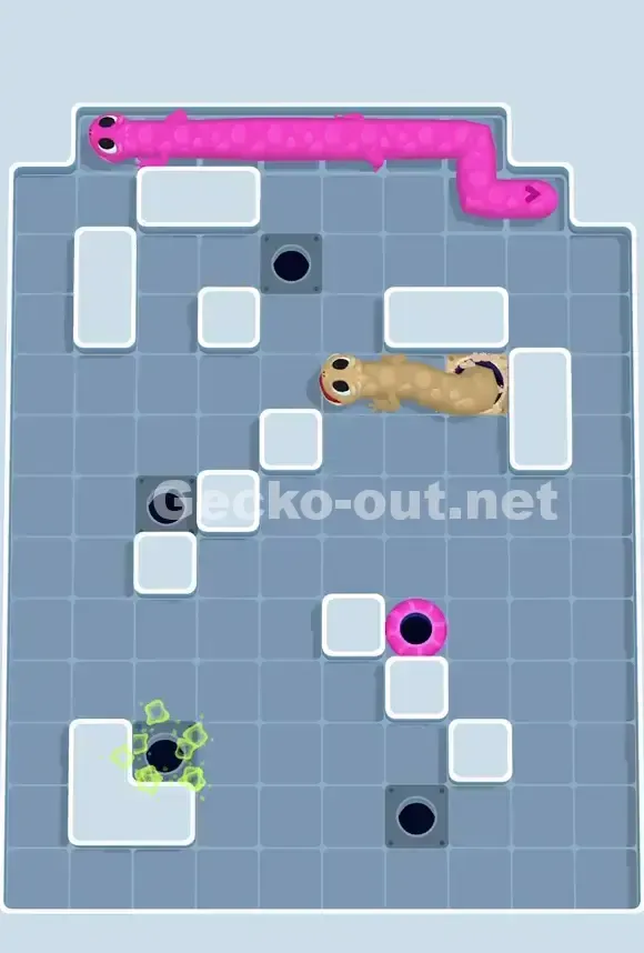 Gecko Out Level 717 Solution 3