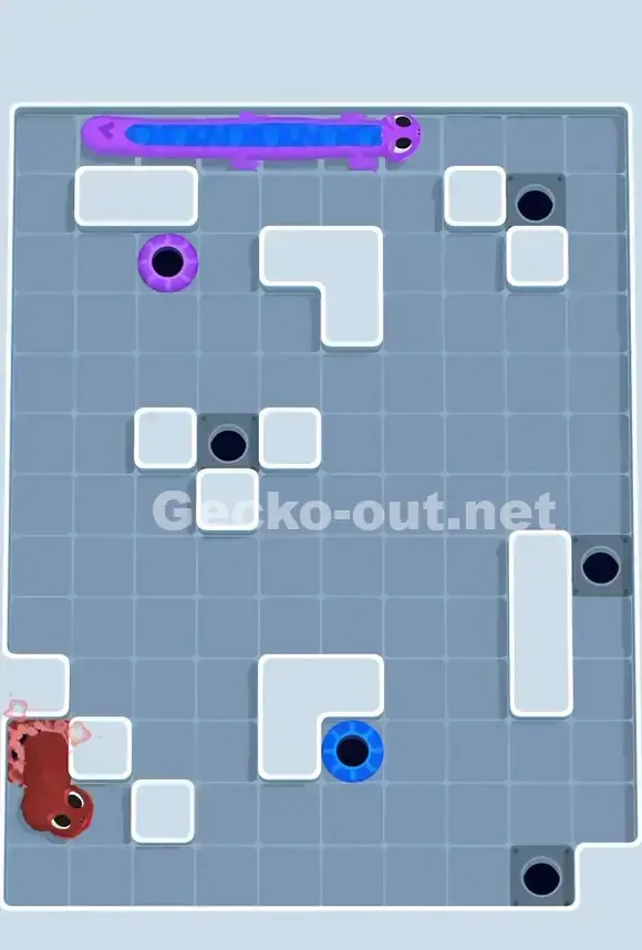 Gecko Out Level 695 Solution 3